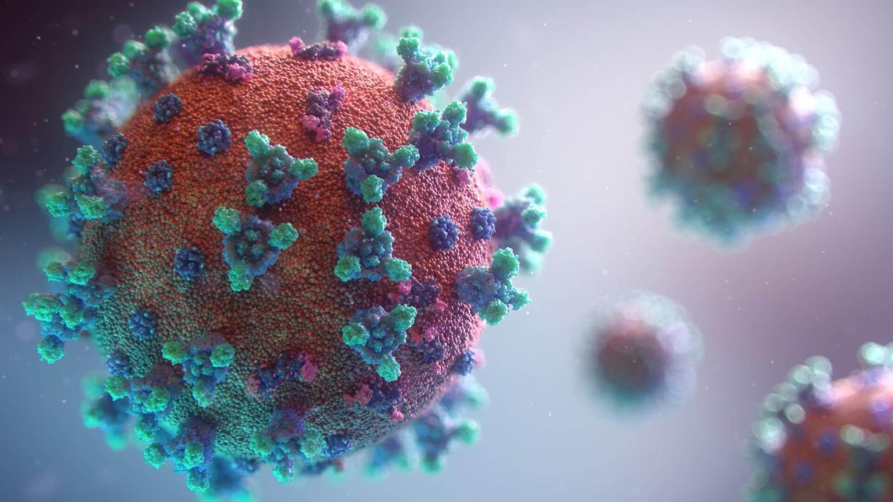 Image for: Christians and the Coronavirus (COVID-19)